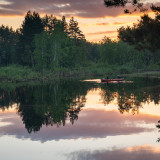 LEO_3135
