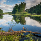 LEO_3382